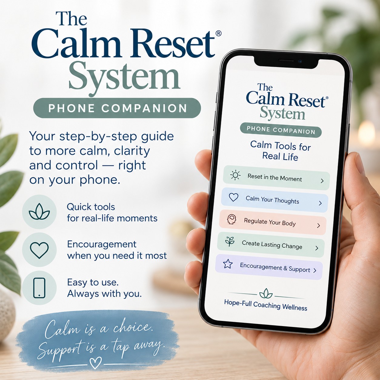 The Calm Reset System